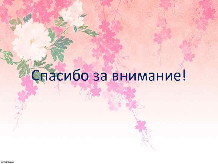 Спасибо за внимание! 