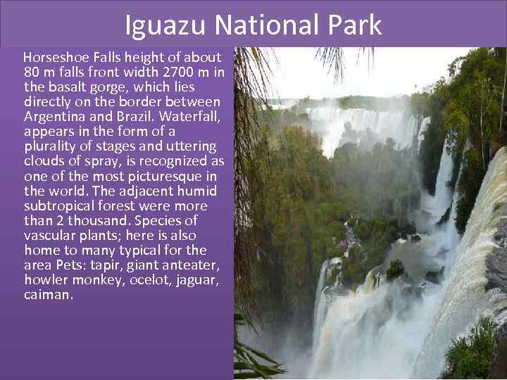 Iguazu National Park Horseshoe Falls height of about 80 m falls front width 2700
