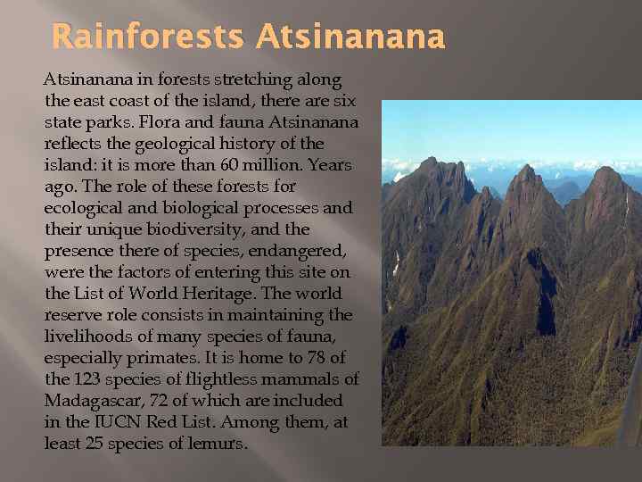 Rainforests Atsinanana in forests stretching along the east coast of the island, there are