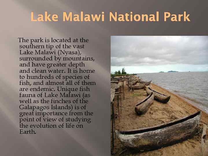 Lake Malawi National Park The park is located at the southern tip of the
