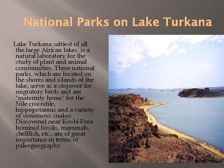 National Parks on Lake Turkana saltiest of all the large African lakes, is a