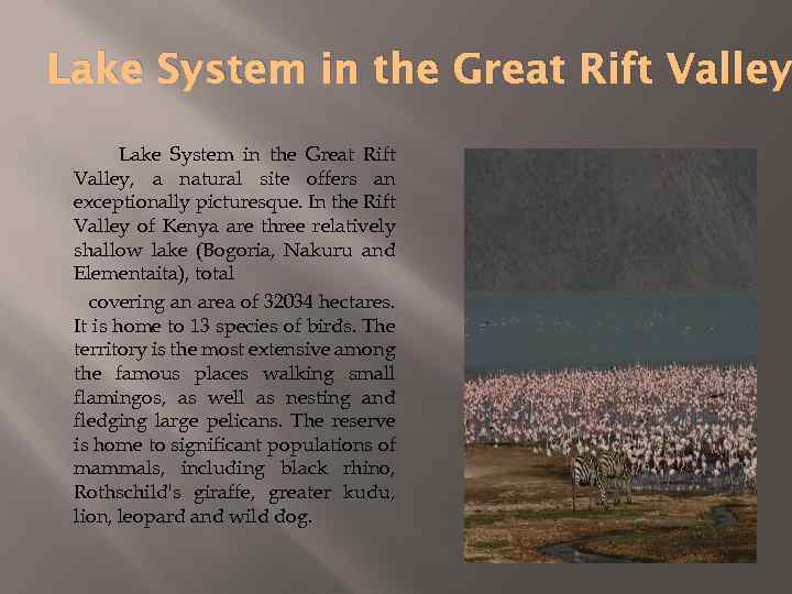 Lake System in the Great Rift Valley, a natural site offers an exceptionally picturesque.