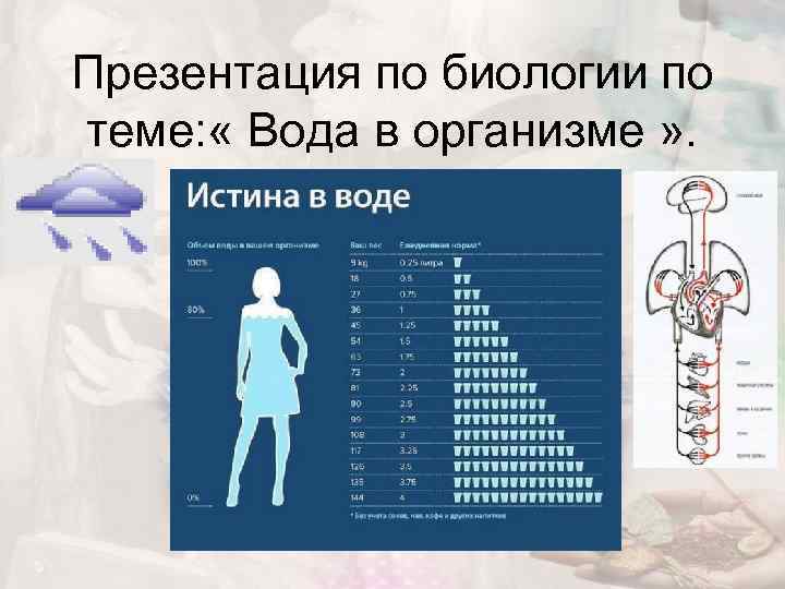 Презентация по биологии по теме: « Вода в организме » . 