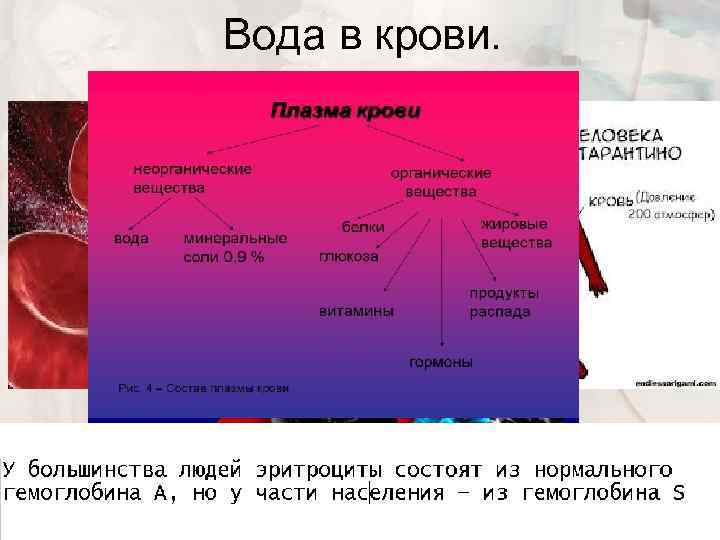 Вода в крови. 