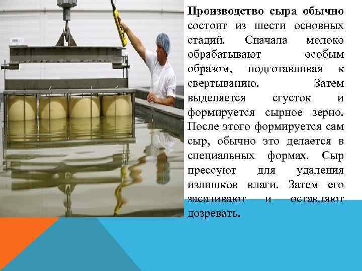  Производство сыра обычно состоит из шести основных стадий. Сначала молоко обрабатывают особым образом,