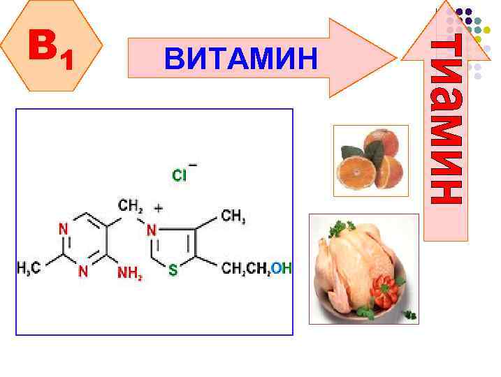 B 1 ВИТАМИН 