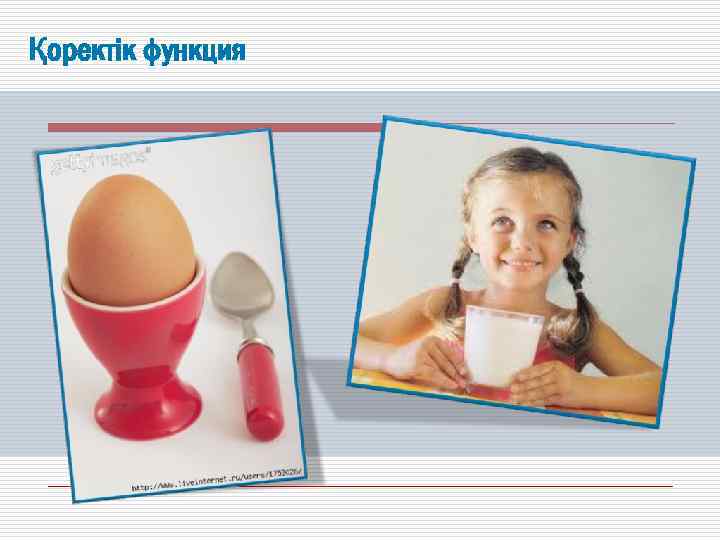 Қоректік функция 