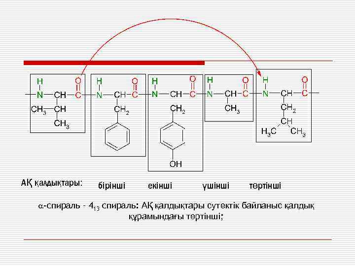 АҚ қалдықтары: бірінші екінші үшінші төртінші -спираль – 413 спираль: АҚ қалдықтары сутектік байланыс