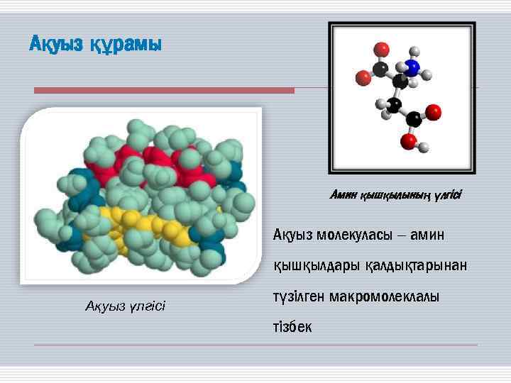 Белоктардың алмасуы презентация