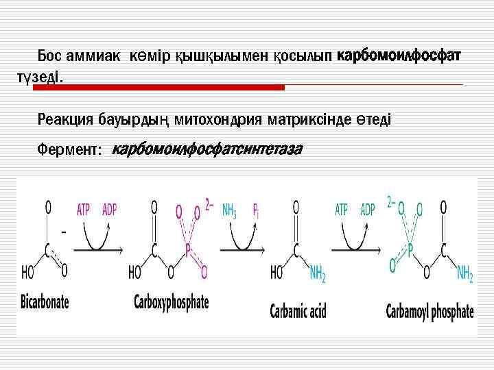 Бос аммиак көмір қышқылымен қосылып карбомоилфосфат түзеді. Реакция бауырдың митохондрия матриксінде өтеді Фермент: карбомоилфосфатсинтетаза
