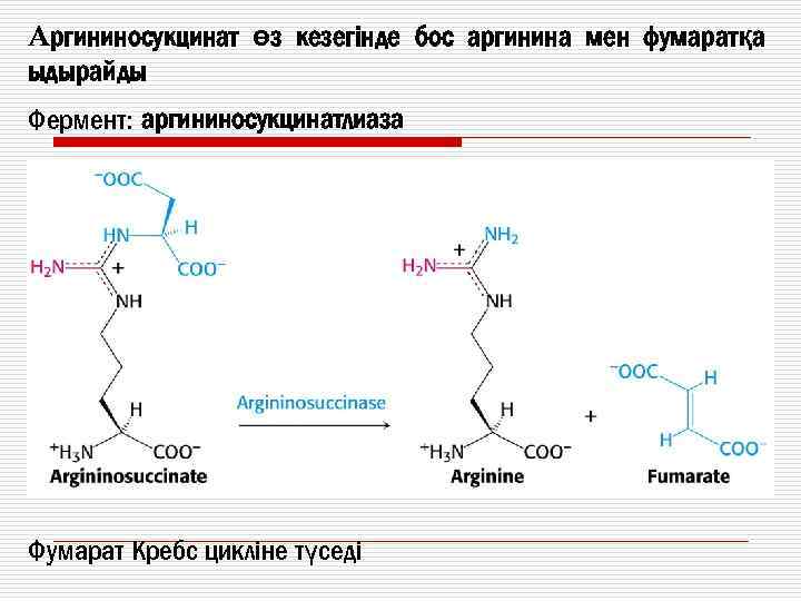 Aргининосукцинат өз кезегінде бос аргинина мен фумаратқа ыдырайды Фермент: аргининосукцинатлиаза Фумарат Кребс цикліне түседі