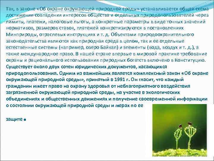 Так, в законе «Об охране окружающей природной среды» устанавливается общая схема достижения совпадения интересов