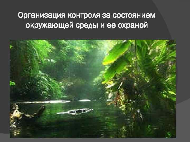 Организация контроля за состоянием окружающей среды и ее охраной 