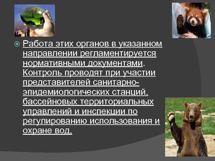  Работа этих органов в указанном направлении регламентируется нормативными документами. Контроль проводят при участии