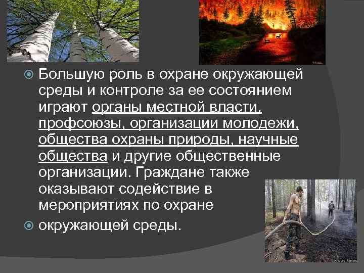 Большую роль в охране окружающей среды и контроле за ее состоянием играют органы местной