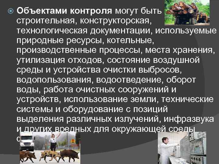  Объектами контроля могут быть строительная, конструкторская, технологическая документации, используемые природные ресурсы, котельные, производственные