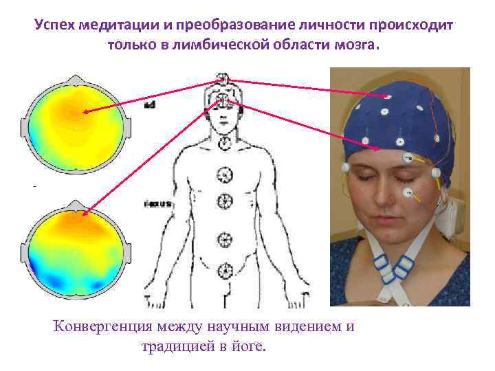 Успех медитации и преобразование личности происходит только в лимбической области мозга. Конвергенция между научным