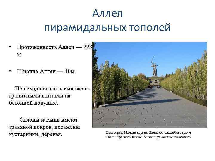 Аллея пирамидальных тополей • Протяженность Аллеи — 223 м • Ширина Аллеи — 10