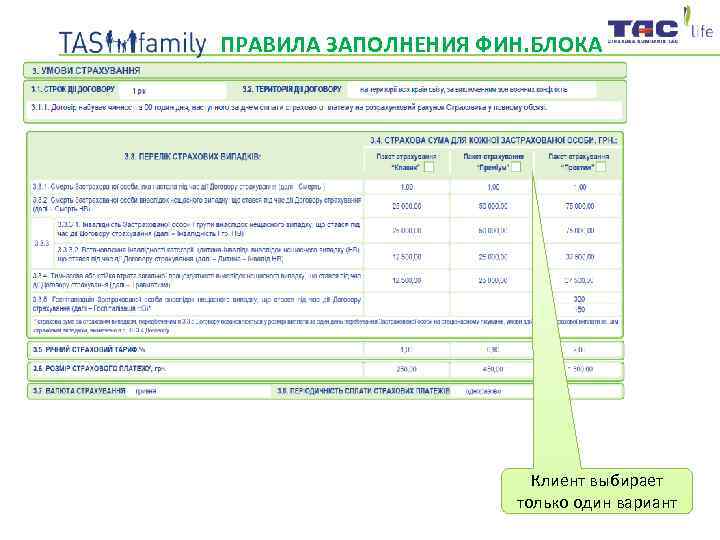 ПРАВИЛА ЗАПОЛНЕНИЯ ФИН. БЛОКА ДОГОВОРА Клиент выбирает только один вариант 