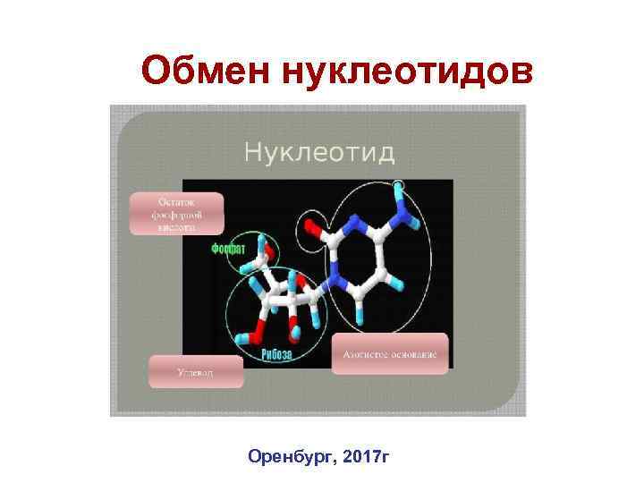 Обмен нуклеотидов Оренбург, 2017 г 