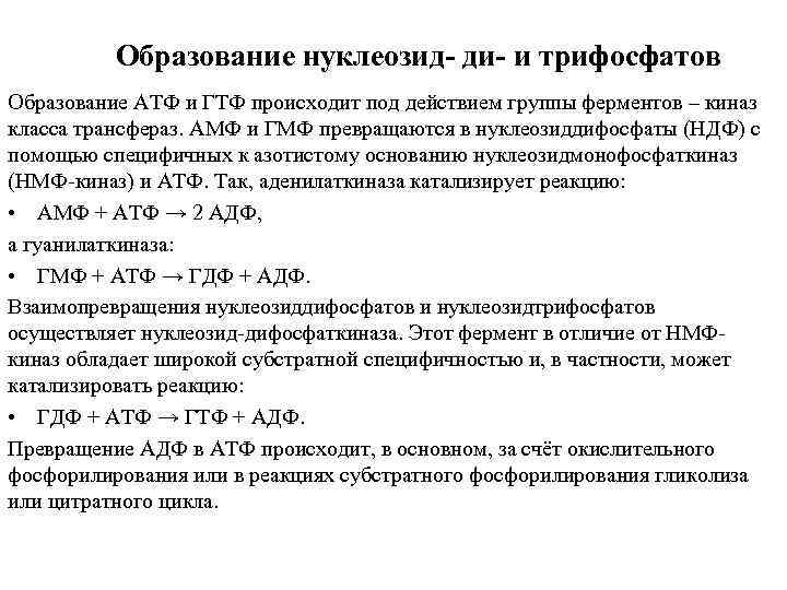 Образование нуклеозид- ди- и трифосфатов Образование АТФ и ГТФ происходит под действием группы ферментов