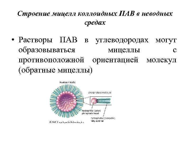 Схема строения мицеллы