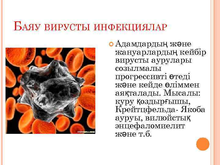 БАЯУ ВИРУСТЫ ИНФЕКЦИЯЛАР Адамдардың және жануарлардың кейбір вирусты аурулары созылмалы прогрессивті өтеді және кейде