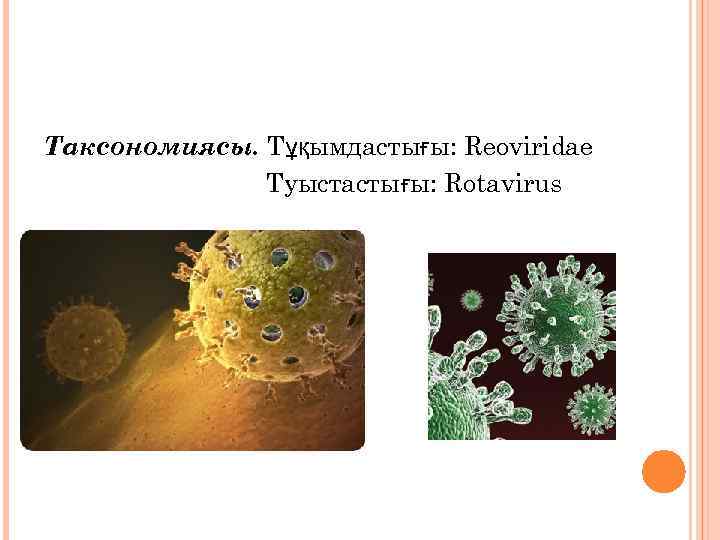 Таксономиясы. Тұқымдастығы: Reoviridae Туыстастығы: Rotavirus 