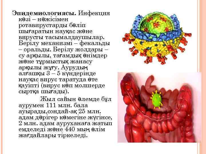 Эпидемиологиясы. Инфекция көзі – нәжісімен ротавирустарды бөліп шығаратын науқас және вирусты тасымалдаушылар. Берілу механизмі
