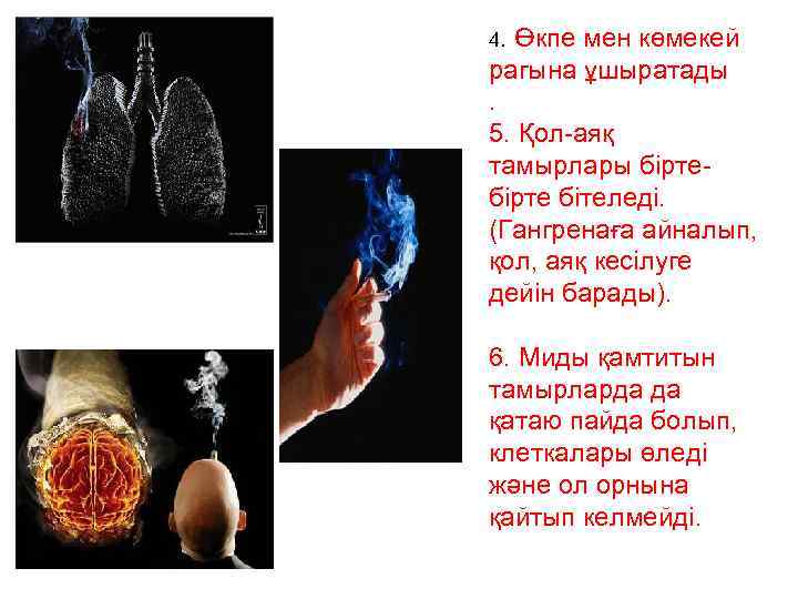 4. Өкпе мен көмекей рагына ұшыратады. 5. Қол-аяқ тамырлары бірте бітеледі. (Гангренаға айналып, қол,