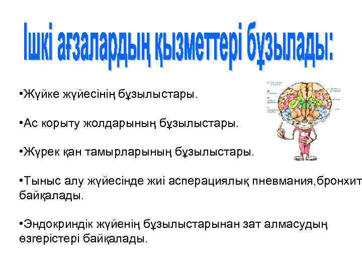  • Жүйке жүйесінің бұзылыстары. • Ас корыту жолдарының бұзылыстары. • Жүрек қан тамырларының