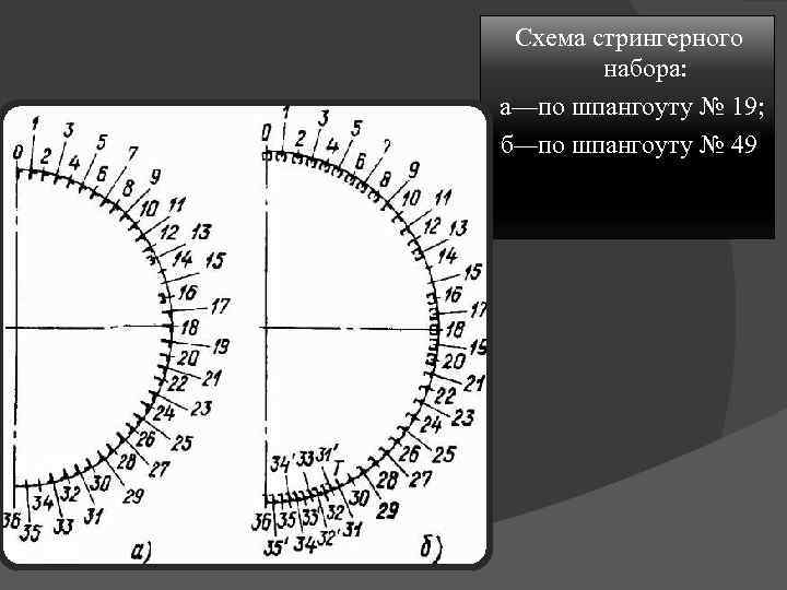 Схема стрингерного набора: а—по шпангоуту № 19; б—по шпангоуту № 49 