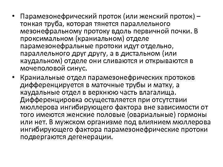 • Парамезонефрический проток (или женский проток) – тонкая труба, которая тянется параллельного мезонефральному