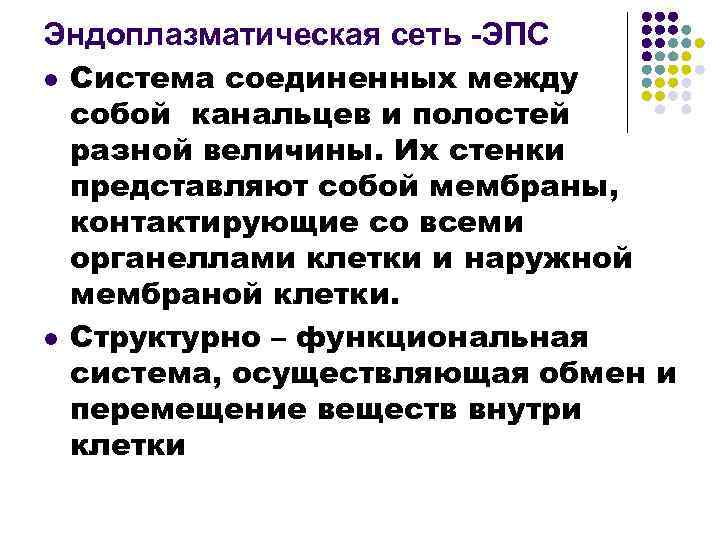 Эндоплазматическая сеть -ЭПС l l Система соединенных между собой канальцев и полостей разной величины.