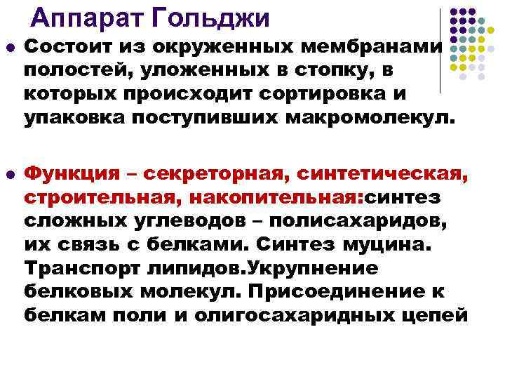 Аппарат Гольджи l l Состоит из окруженных мембранами полостей, уложенных в стопку, в которых