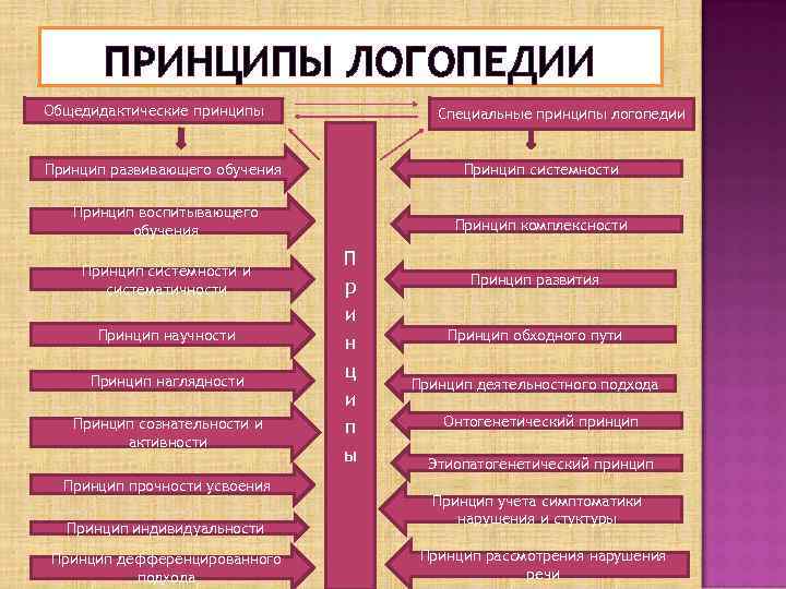 Сколько принципов. Принципы логопедии. Принципы и методы логопедического воздействия. Специальные принципы логопедии. Принципы логопедии общедидактические и специальные.