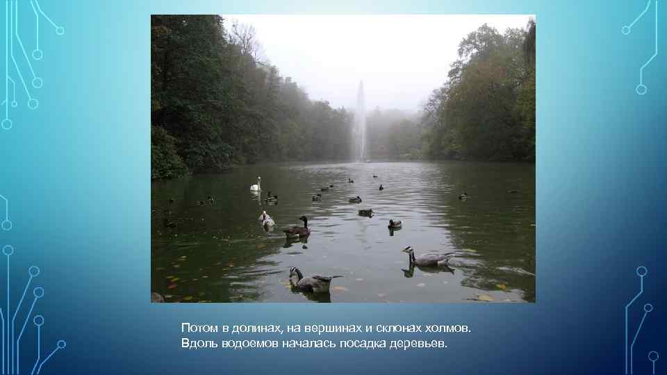 Потом в долинах, на вершинах и склонах холмов. Вдоль водоемов началась посадка деревьев. 