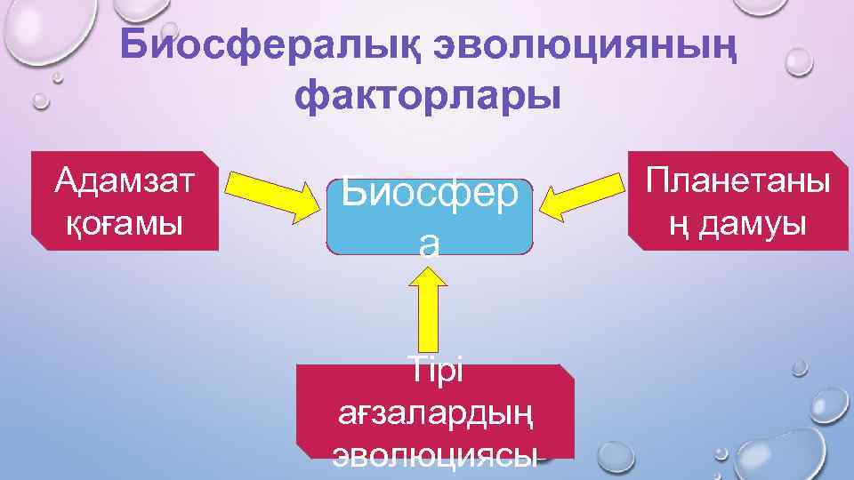 Биосфералық эволюцияның факторлары Адамзат қоғамы Биосфер а Тірі ағзалардың эволюциясы Планетаны ң дамуы 