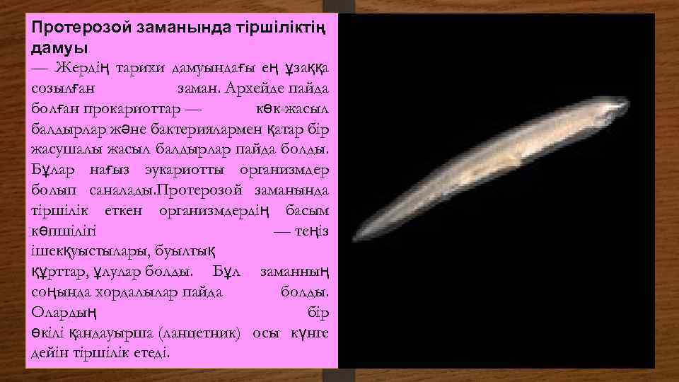 Протерозой заманында тіршіліктің дамуы — Жердің тарихи дамуындағы ең ұзаққа созылған заман. Архейде пайда