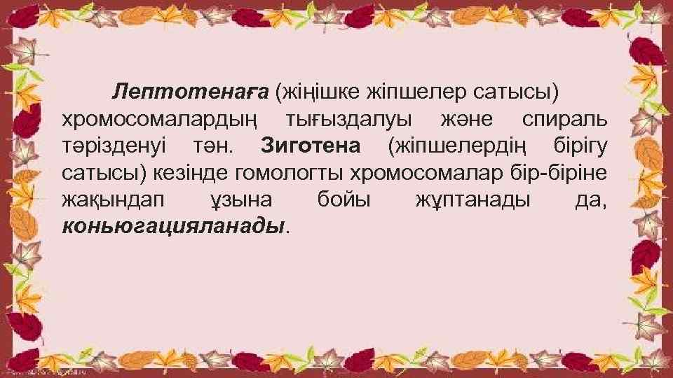 Лептотенаға (жіңішке жіпшелер сатысы) хромосомалардың тығыздалуы және спираль тәрізденуі тән. Зиготена (жіпшелердің бірігу сатысы)