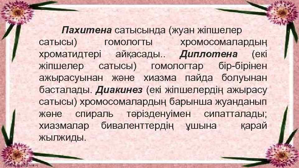 Пахитена сатысында (жуан жіпшелер сатысы) гомологты хромосомалардың хроматидтері айқасады. . Диплотена (екі жіпшелер сатысы)