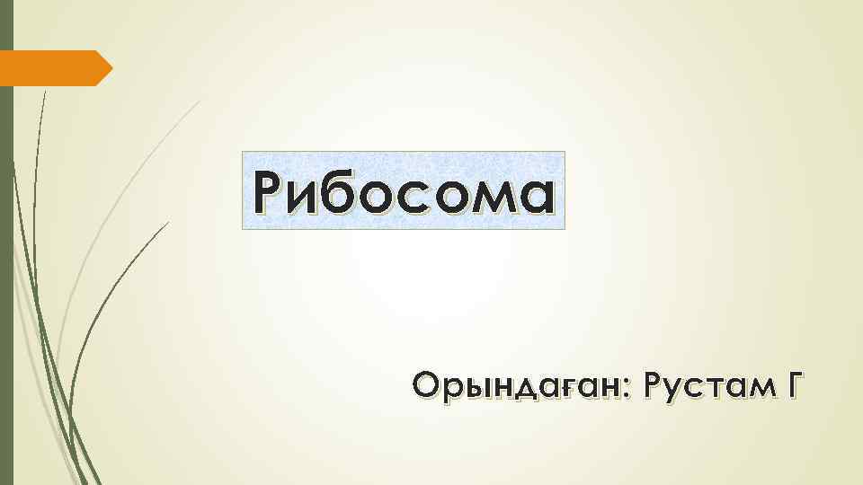 Рибосома Орындаған: Рустам Г 