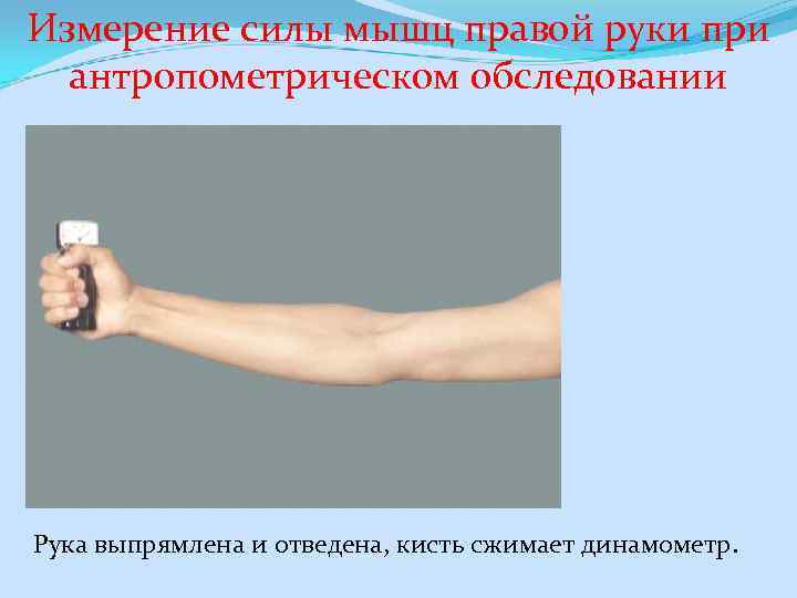 Измерение силы мышц правой руки при антропометрическом обследовании Рука выпрямлена и отведена, кисть сжимает
