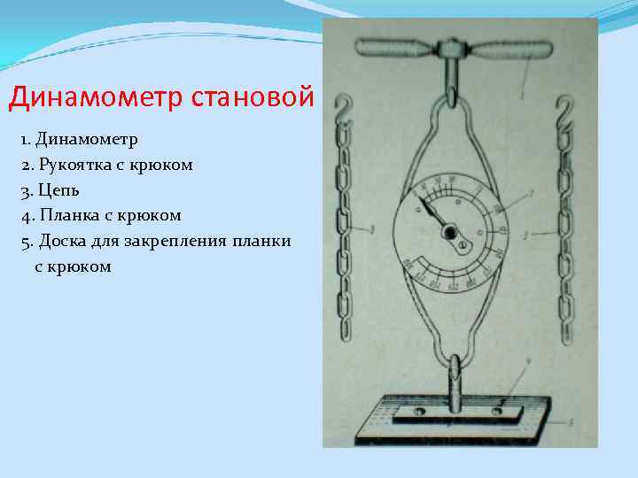 Динамометр становой 1. Динамометр 2. Рукоятка с крюком 3. Цепь 4. Планка с крюком