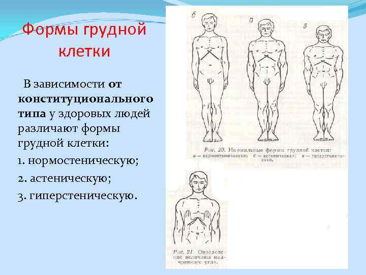Формы грудной клетки В зависимости от конституционального типа у здоровых людей различают формы грудной