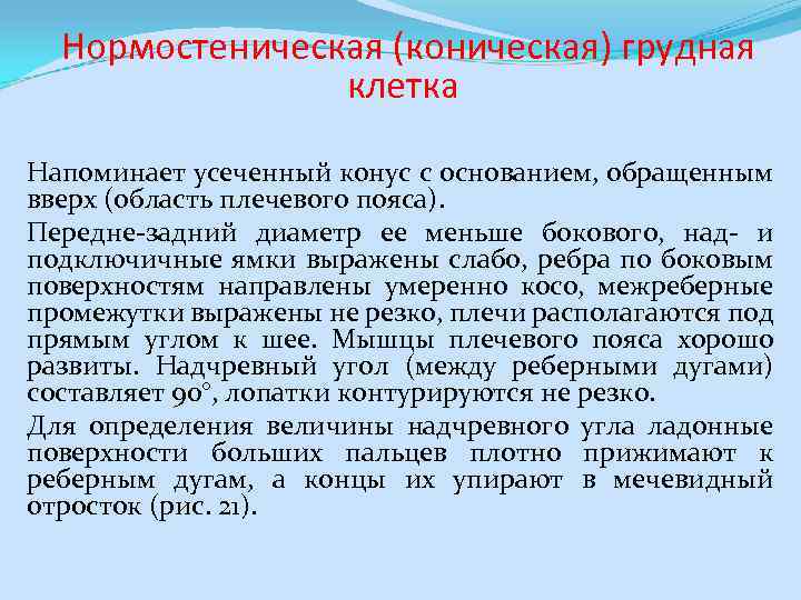  Нормостеническая (коническая) грудная клетка Напоминает усеченный конус с основанием, обращенным вверх (область плечевого