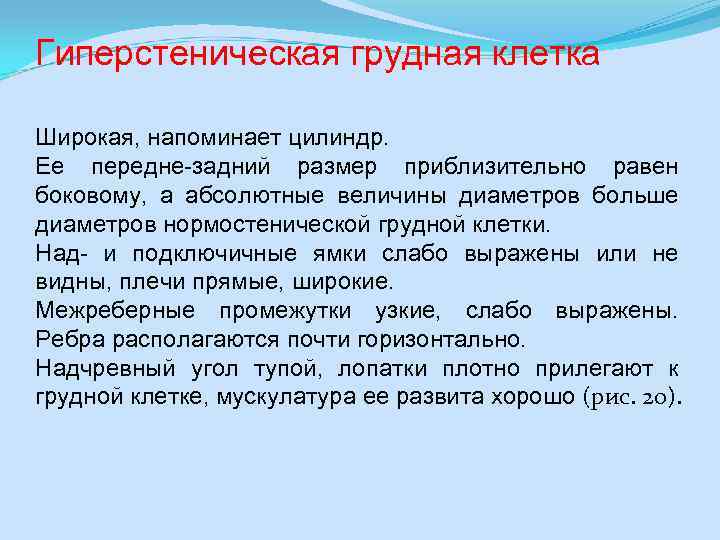 Гиперстеническая грудная клетка Широкая, напоминает цилиндр. Ее передне-задний размер приблизительно равен боковому, а абсолютные