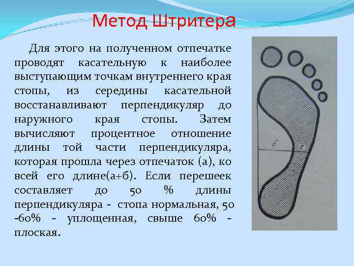Метод Штритера Для этого на полученном отпечатке проводят касательную к наиболее выступающим точкам внутреннего