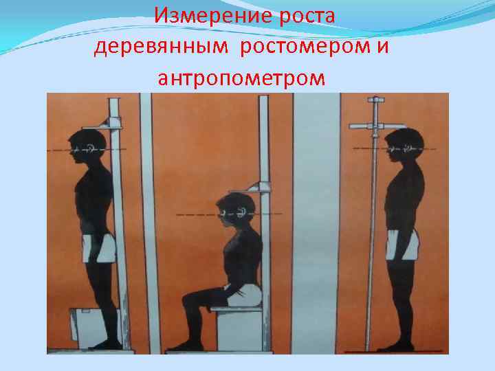 Измерение роста деревянным ростомером и антропометром 
