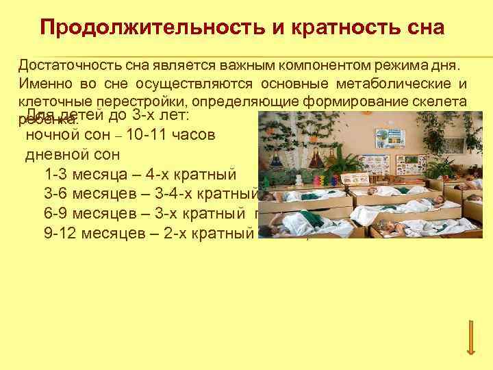 Продолжительность и кратность сна Достаточность сна является важным компонентом режима дня. Именно во сне